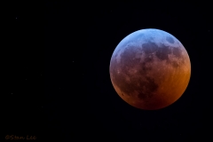 Blood Moon_850_0014