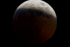 Blood Moon_850_9984